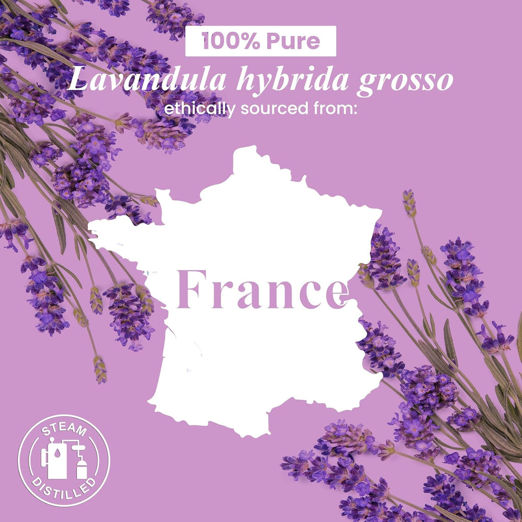 Handcraft Blends Lavender Essential Oil – 1 Fl Oz – 100% Pure and Natural – Premium Grade Essential Oil for Diffuser and Aromatherapy, Skin, Massage, Candle and Soap Making Fragrance - natuurlijk supplement | naturalcleance.com