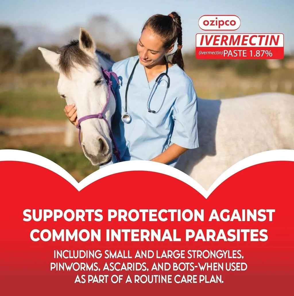 Ivermectin Horse Paste 1.87% | Koop 3 artikelen Krijg 3 artikelen met 15% korting- Apple Flavor – 6.08g Syringe for Equine Use Only Up to 1250 LB - natuurlijk supplement | naturalcleance.com