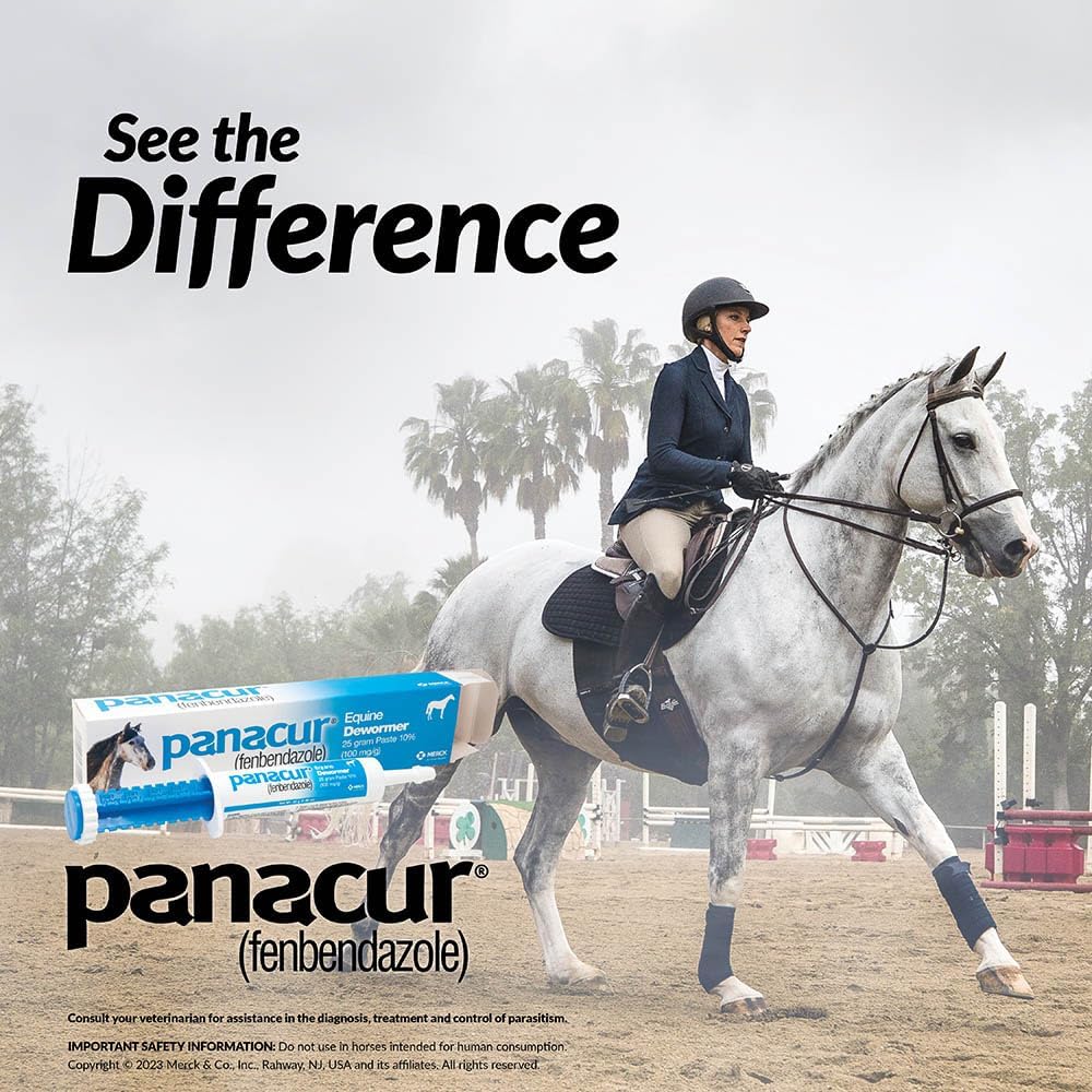 PANACUR Fenbendazole Dewormer Horse Paste - natuurlijk supplement | naturalcleance.com